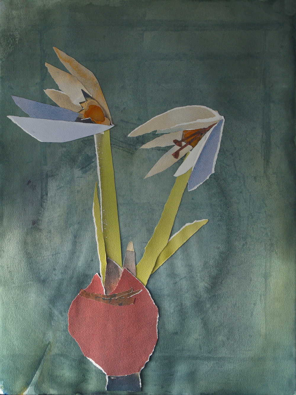 Amaryllis II